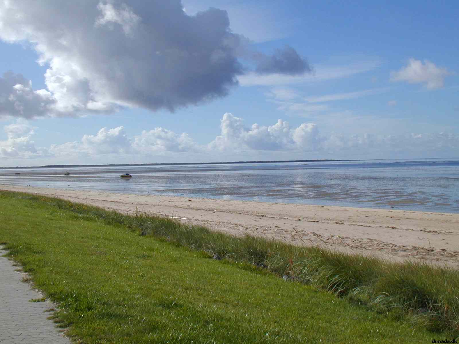 * Image 20