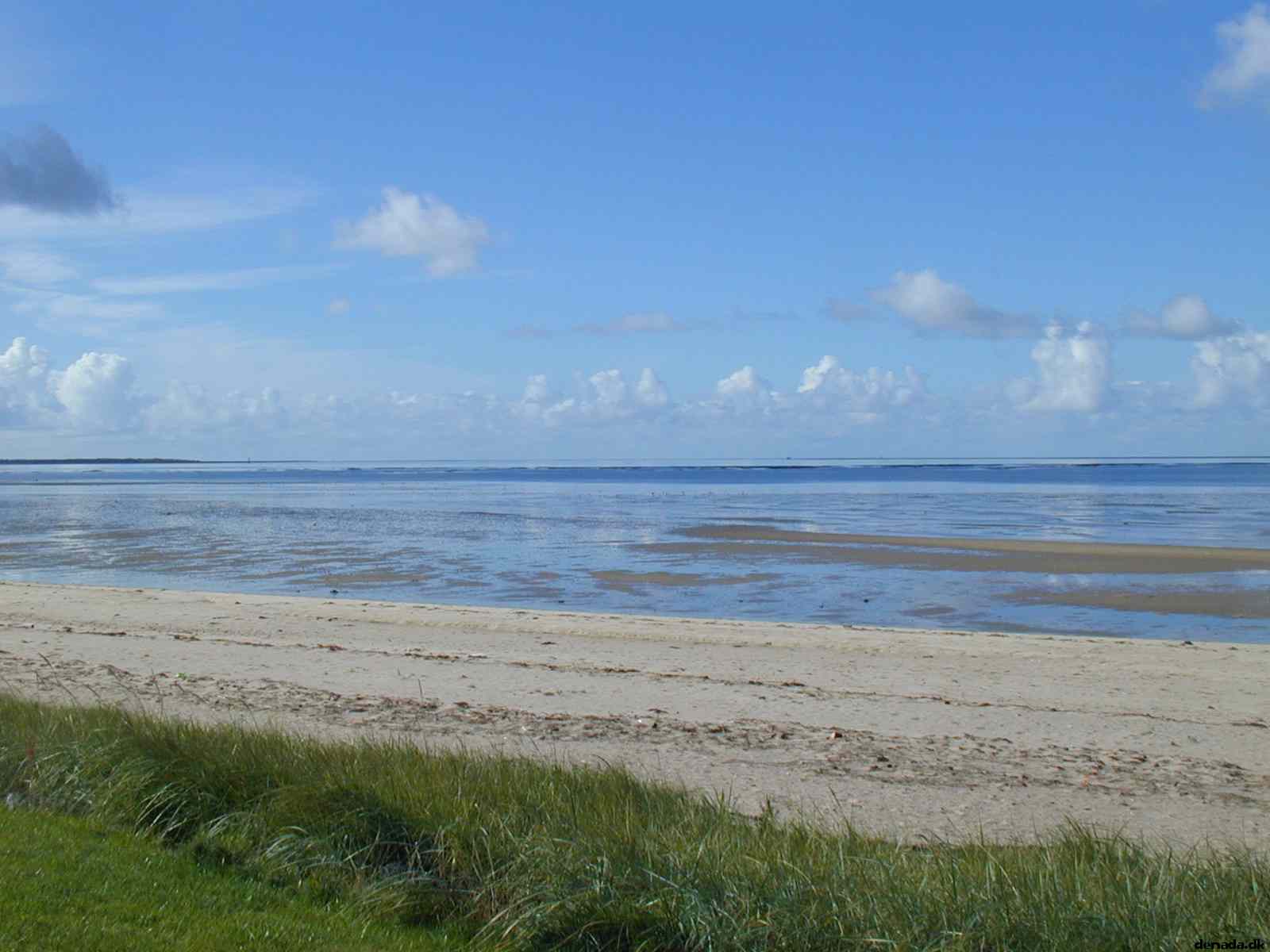 * Image 21