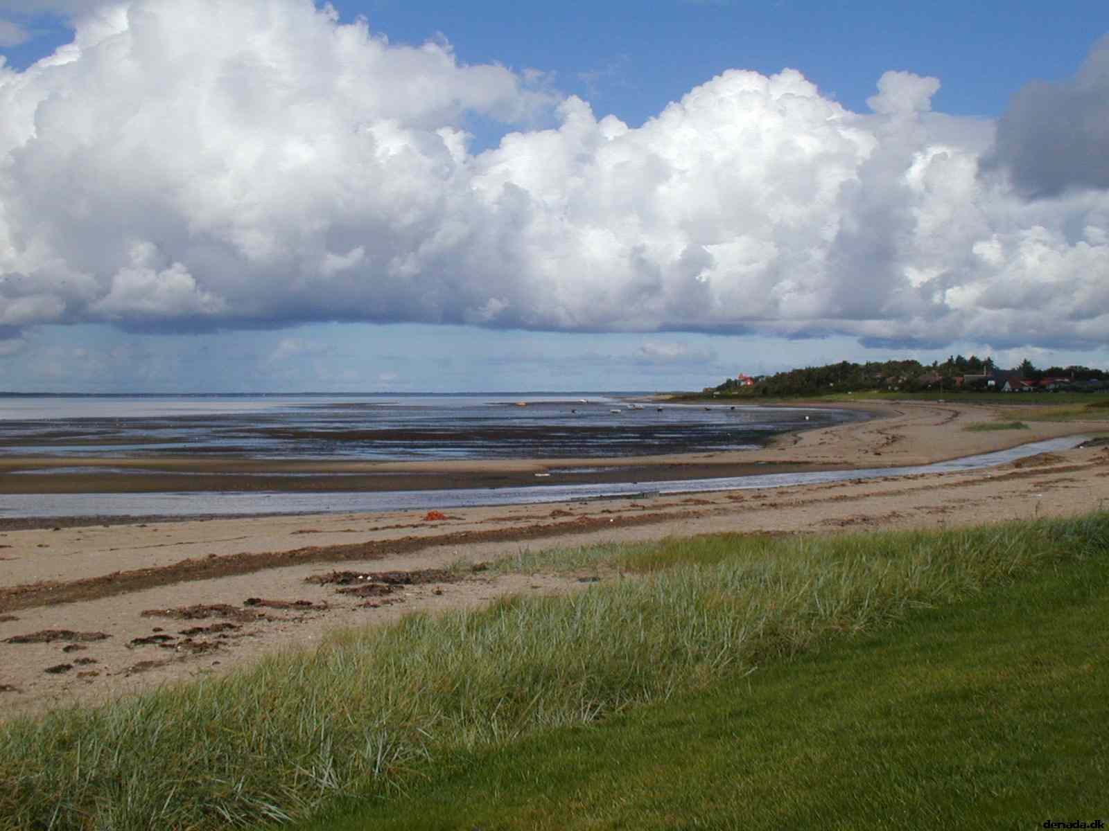 * Image 23