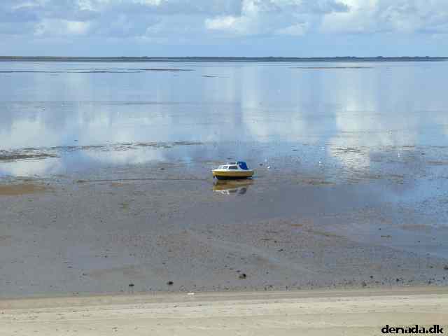 * Image 2