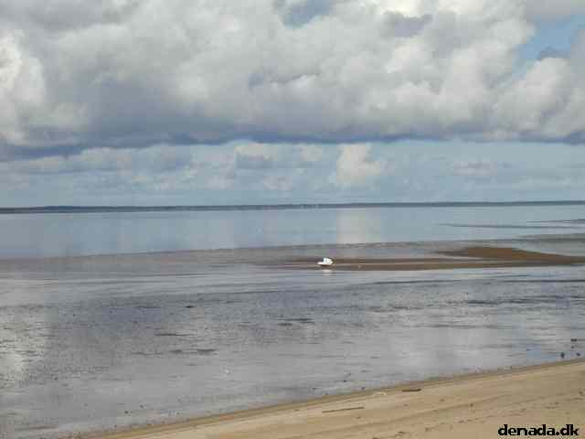 * Image 3