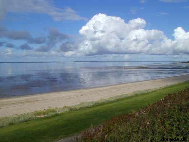 * Image 5