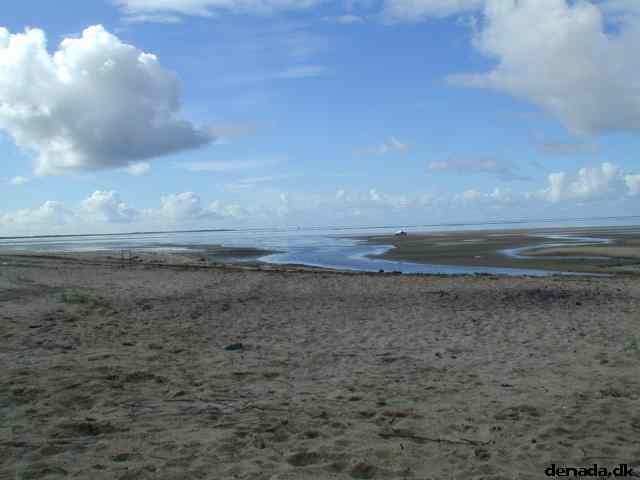 * Image 6