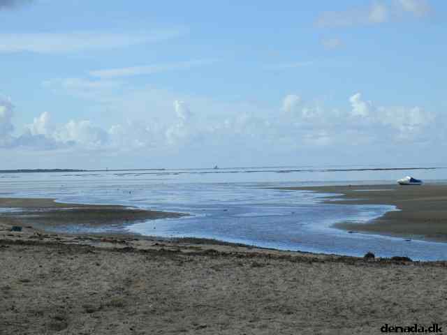 * Image 7