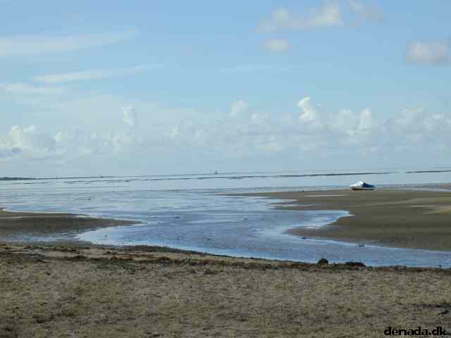 * Image 8