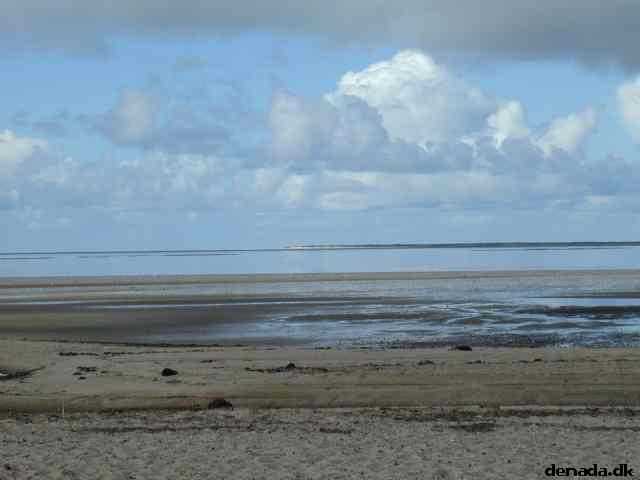 * Image 9