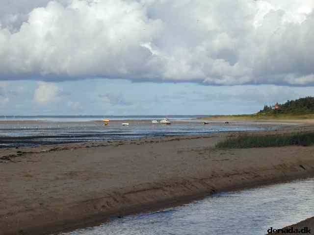 * Image 11