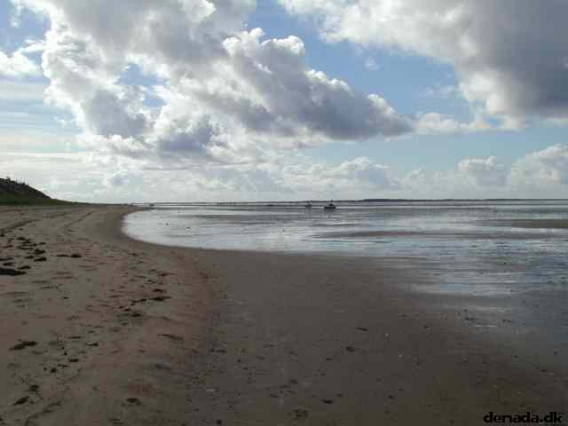* Image 15