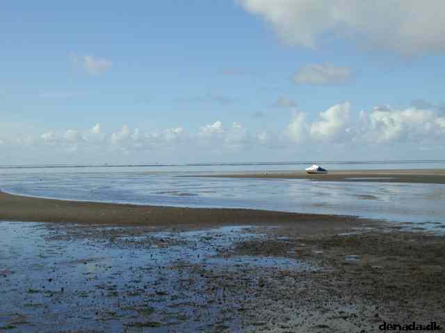 * Image 16