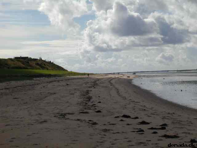 * Image 18