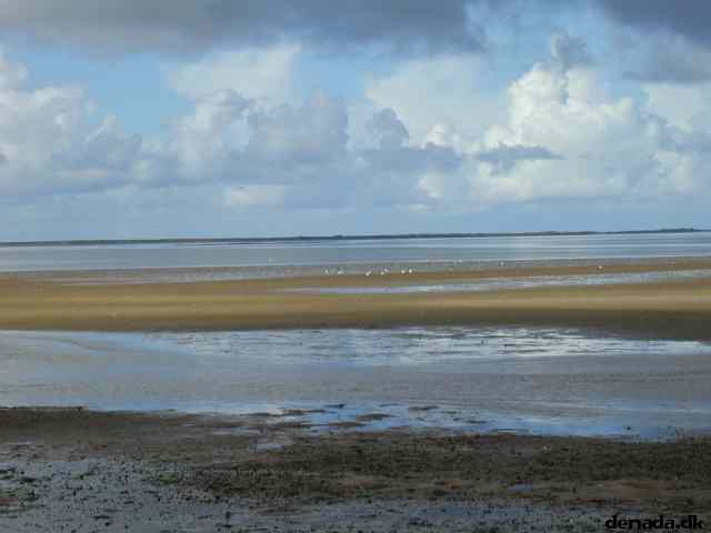 * Image 19