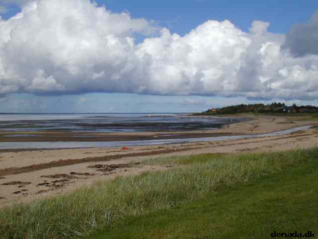 * Image 23