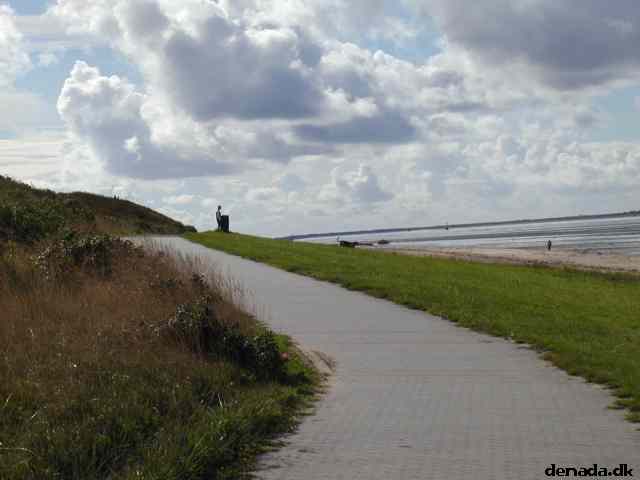 * Image 24