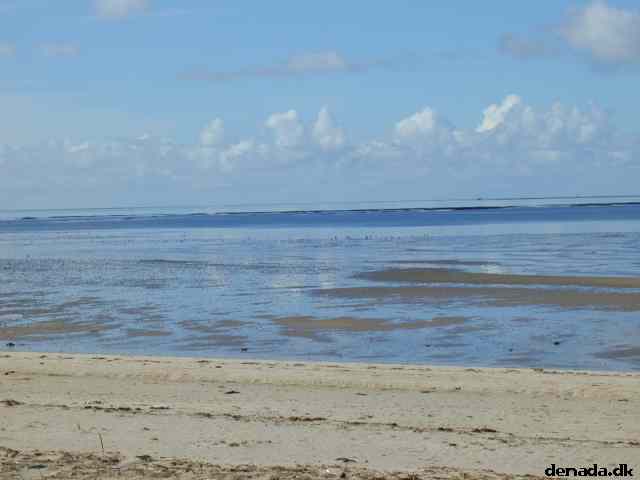 * Image 25