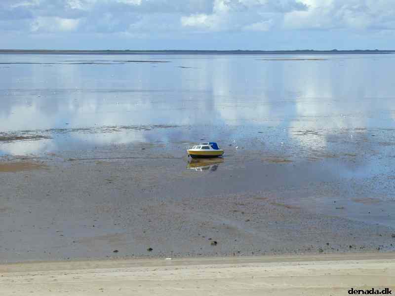 * Image 2