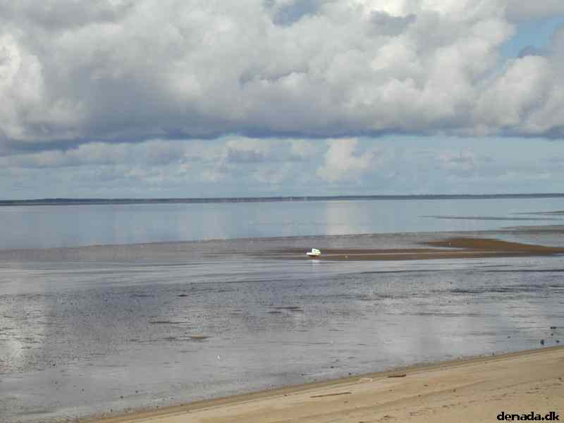 * Image 3