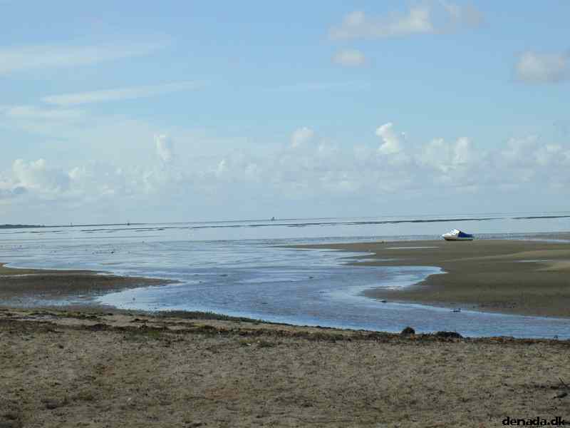 * Image 8