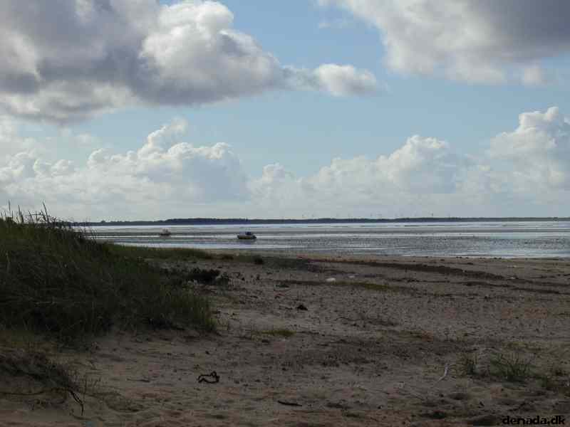 * Image 10