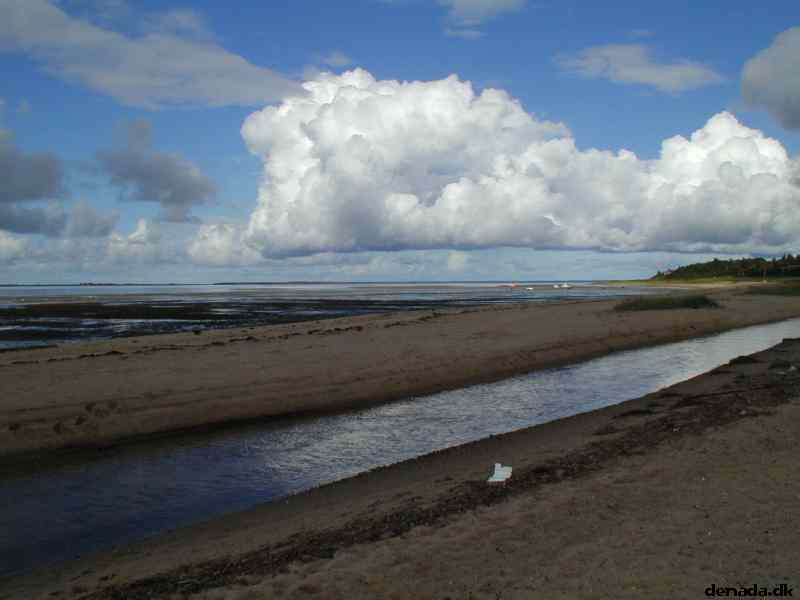 * Image 12