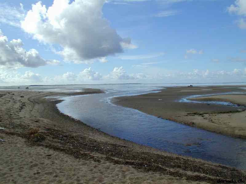 * Image 13