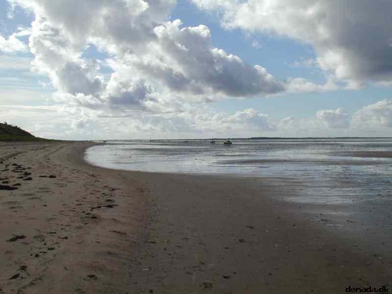 * Image 15