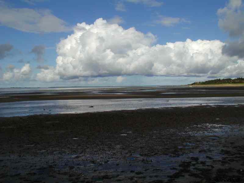 * Image 17