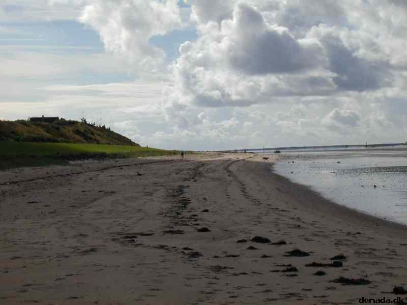 * Image 18