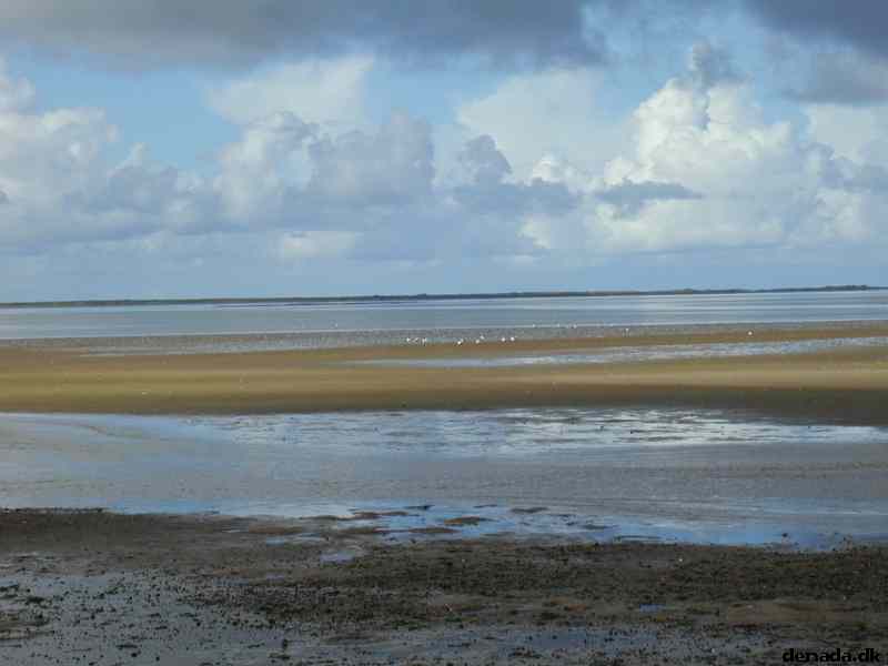 * Image 19