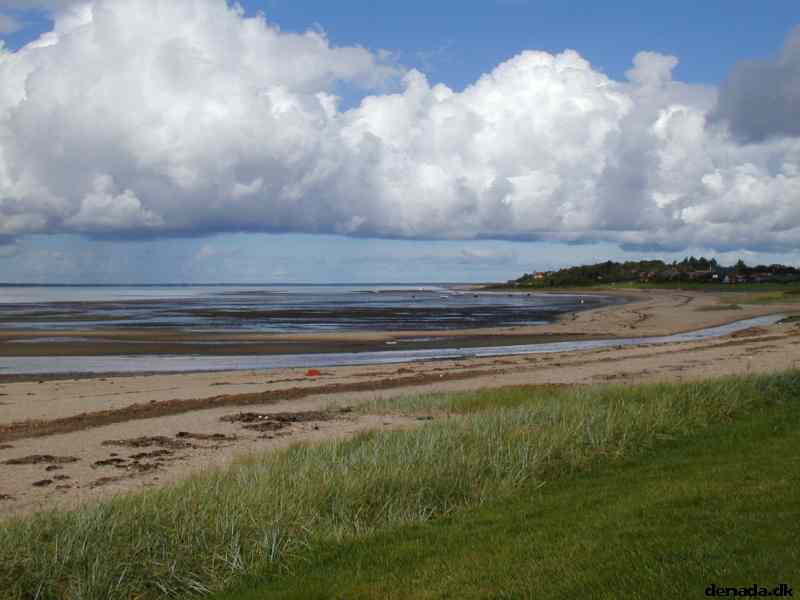 * Image 23
