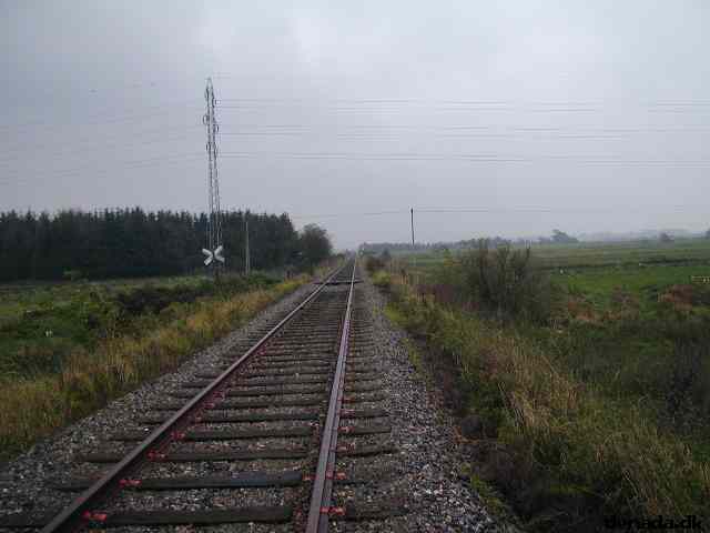 * Image 22