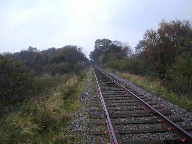 * Image 21