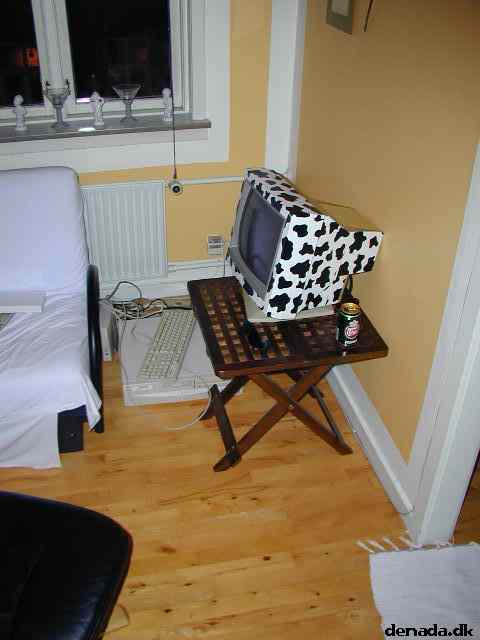 * Image 23