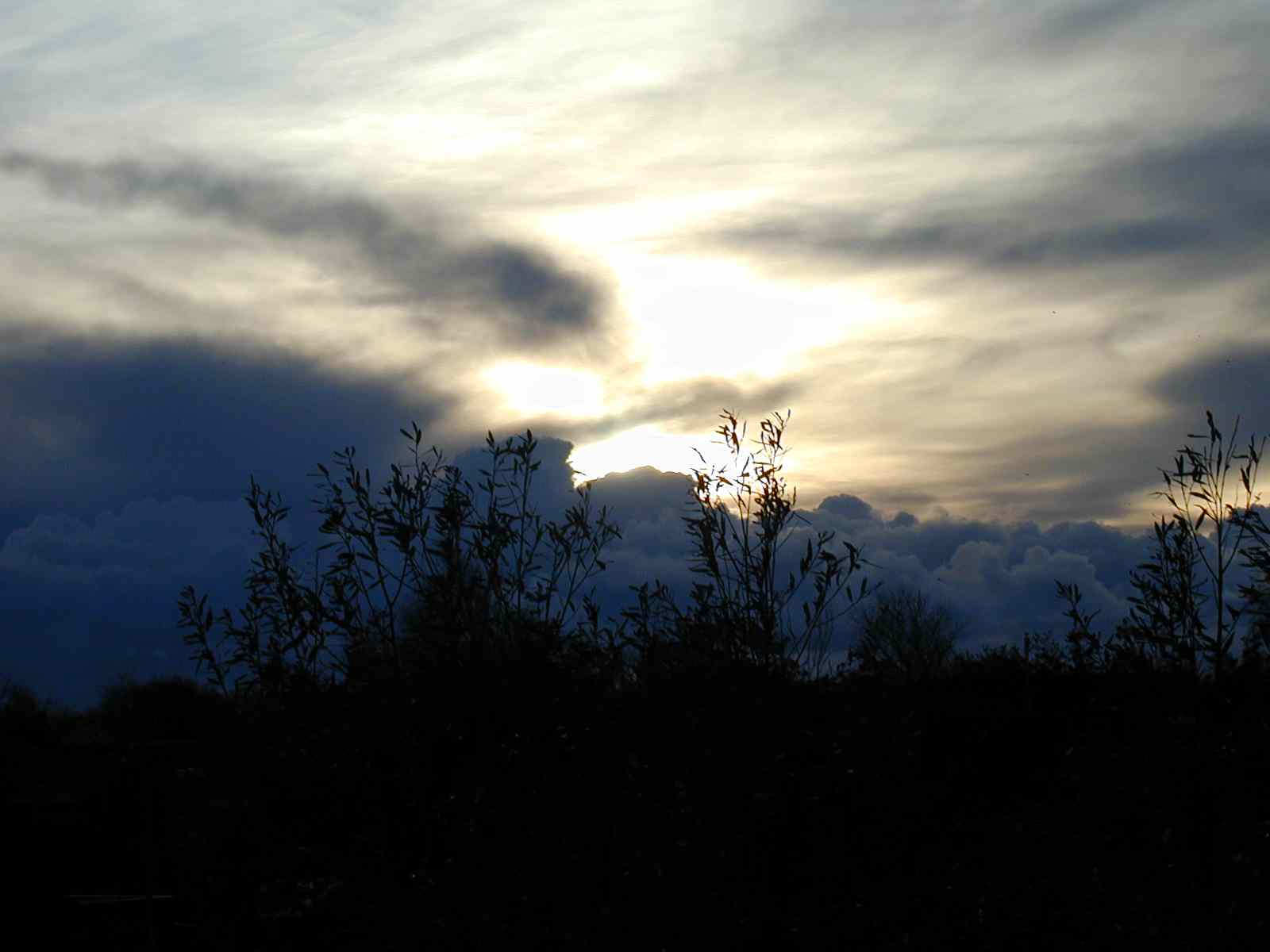 * Image 7
