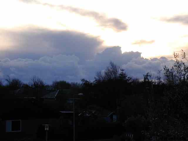 * Image 4