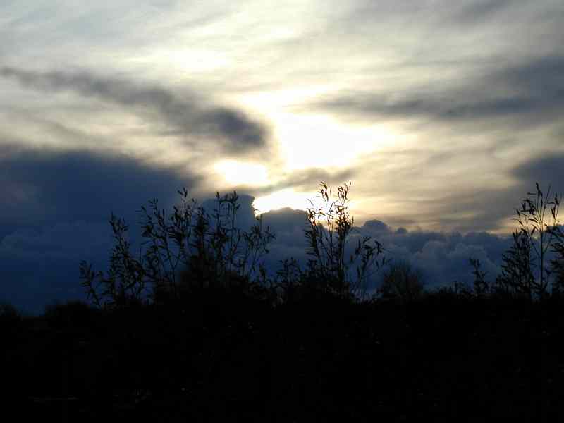 * Image 7