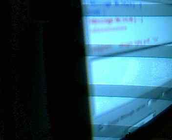 * Image 31