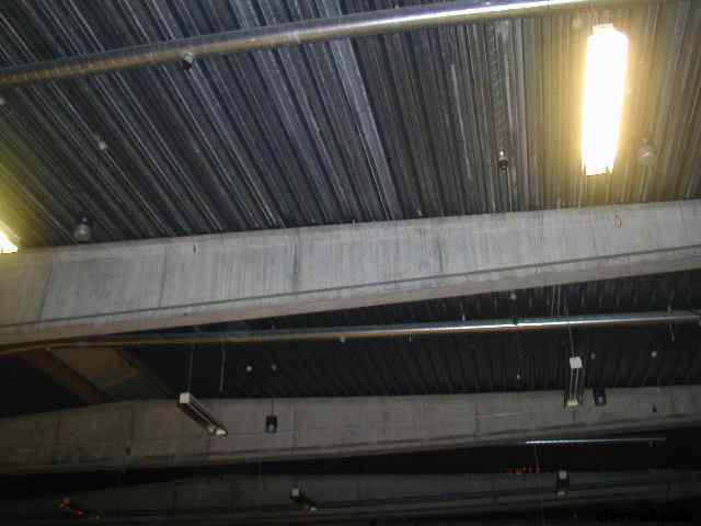 * Image 16