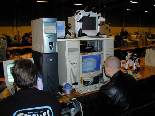 * Image 25