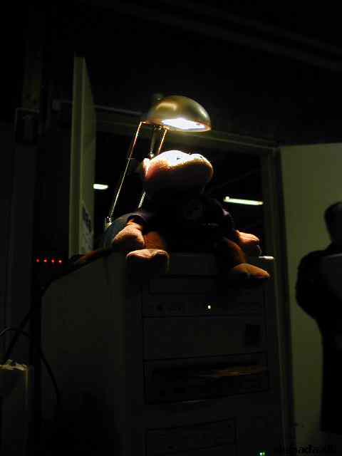 * Image 11