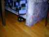 ed-064.jpg - 2002:01:27 19:37:36