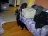 ed-067.jpg - 2002:01:27 19:40:44