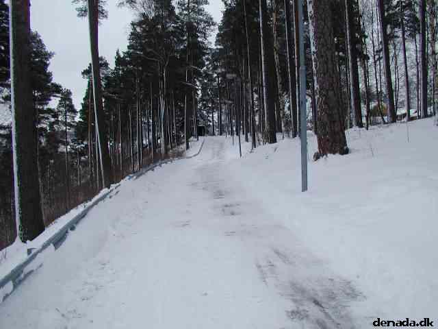 * Image 25