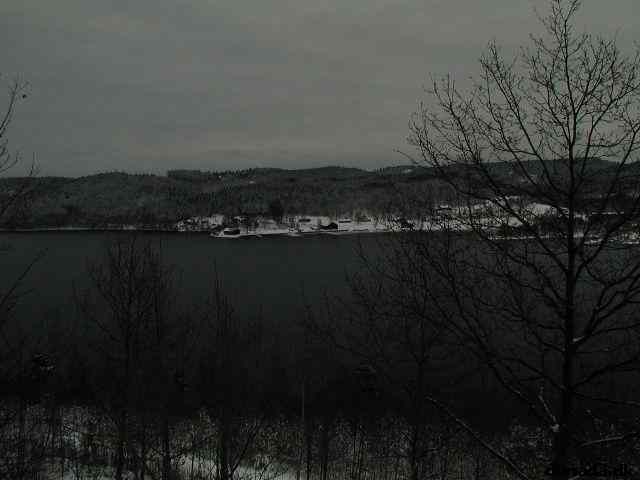 * Image 12