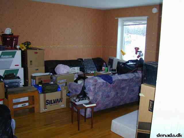 * Image 33