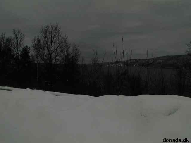 * Image 13