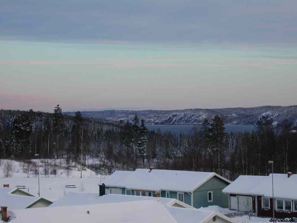 * Image 10