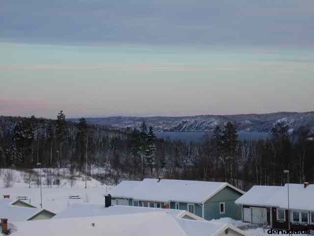 * Image 10