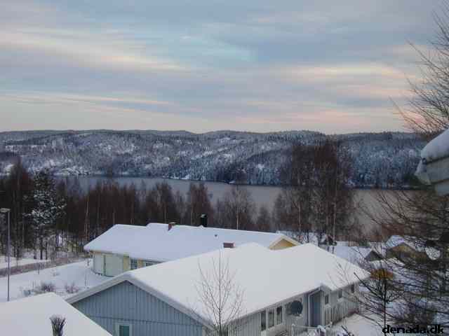* Image 11
