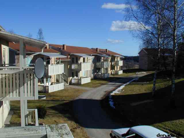 * Image 18