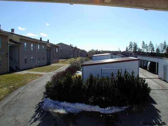 * Image 19